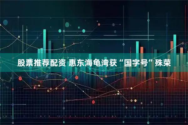 股票推荐配资 惠东海龟湾获“国字号”殊荣