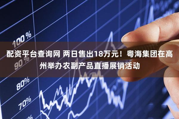 配资平台查询网 两日售出18万元！粤海集团在高州举办农副产品直播展销活动